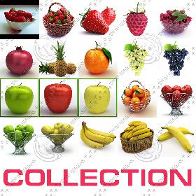 Trachea Didactic 3D model